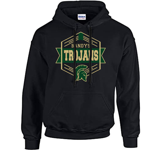Bandys Hexagon - Heavyweight Hoodie
